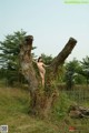 A naked woman standing on top of a tree trunk.